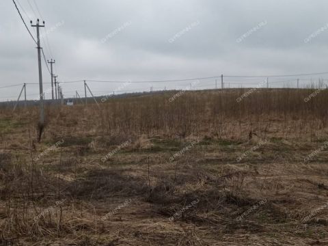 derevnya-nepecino-bogorodskiy-municipalnyy-okrug фото
