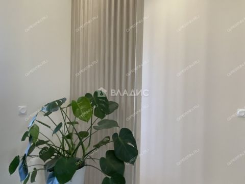 dom-selo-efimevo-bogorodskiy-municipalnyy-okrug фото