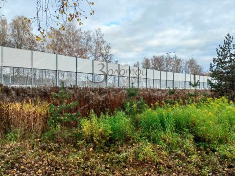 derevnya-zolotovo-gorodskoy-okrug-bor фото