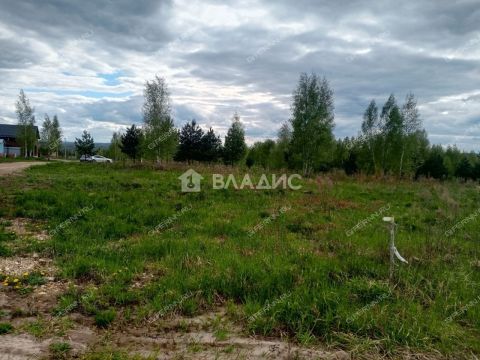 derevnya-inyutino-bogorodskiy-municipalnyy-okrug фото