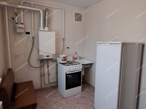 1-komnatnaya-selo-malaya-pica-dalnekonstantinovskiy-rayon фото