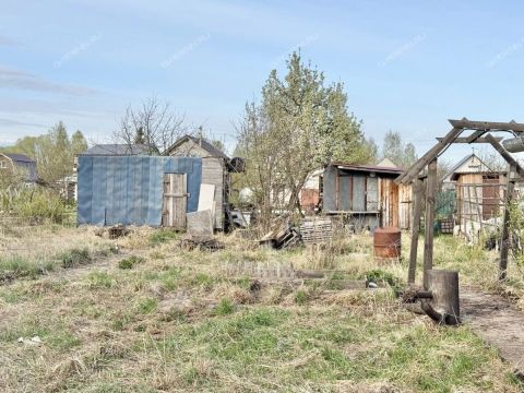 dacha-rabochiy-poselok-gidrotorf-balahninskiy-municipalnyy-okrug фото