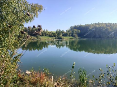 poselok-mirnyy-bogorodskiy-municipalnyy-okrug фото