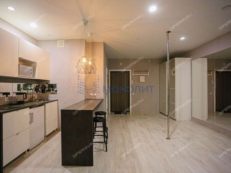 квартира-студия на Академической улице дом 12 деревня Афонино