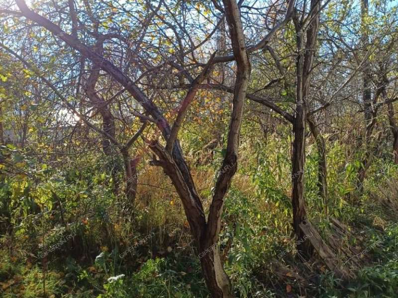 1/2 дома на 12-й линии