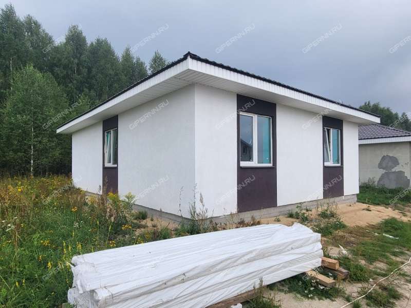 дом на Героя Демина ул. деревня Пруды