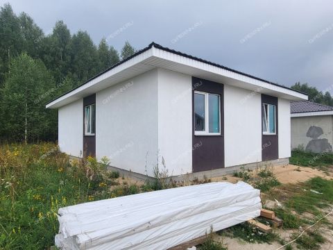 dom-derevnya-prudy-bogorodskiy-municipalnyy-okrug фото