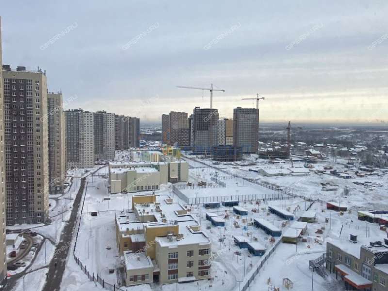 однокомнатная квартира на Русской улице улице дом 5 деревня Анкудиновка