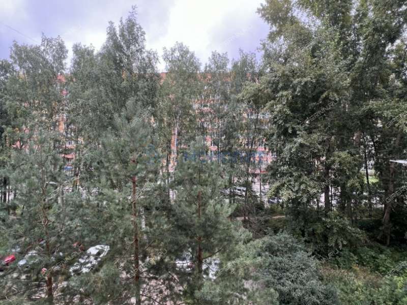 трёхкомнатная квартира на улице Ванеева дом 227