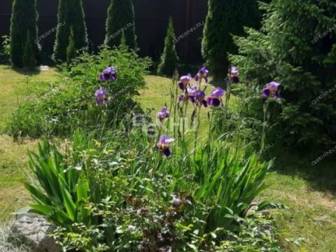 kottedzh-sl-aleksandrovskaya фото