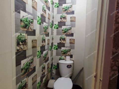 1-komnatnaya-gorod-kstovo-kstovskiy-rayon фото