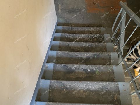 ul-vitebskaya-d-52 фото