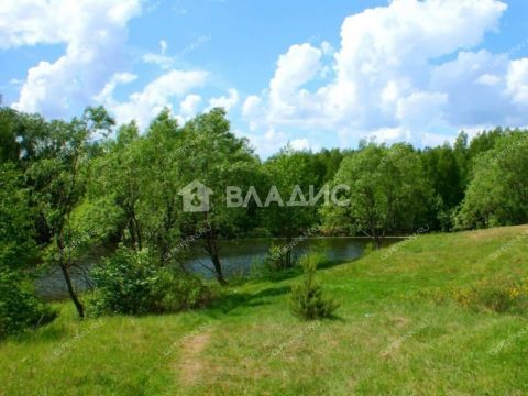 selo-dudenevo-bogorodskiy-municipalnyy-okrug фото