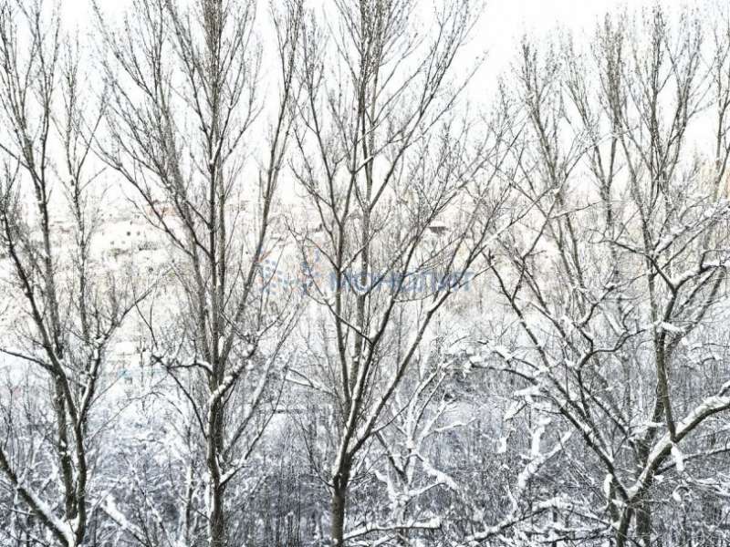 трёхкомнатная квартира на улице Бринского дом 4 к2