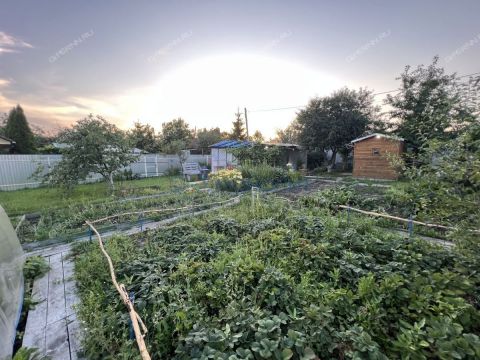 dacha-snt-nadezhda фото