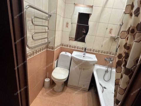 1-komnatnaya-prosp-busygina-d-19 фото