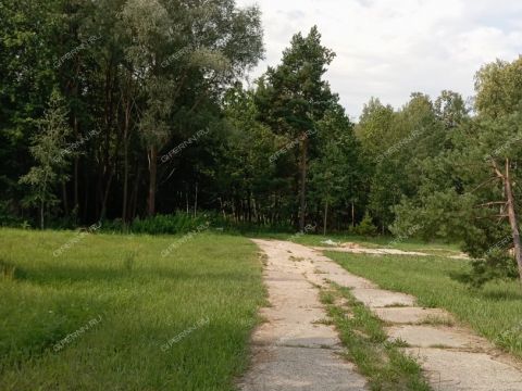 kvartira-studiya-kurortnyy-poselok-zelenyy-gorod-pos-sanatoriy-im-vcsps-d-18 фото