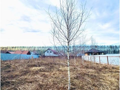 derevnya-shumilovo-bogorodskiy-municipalnyy-okrug фото