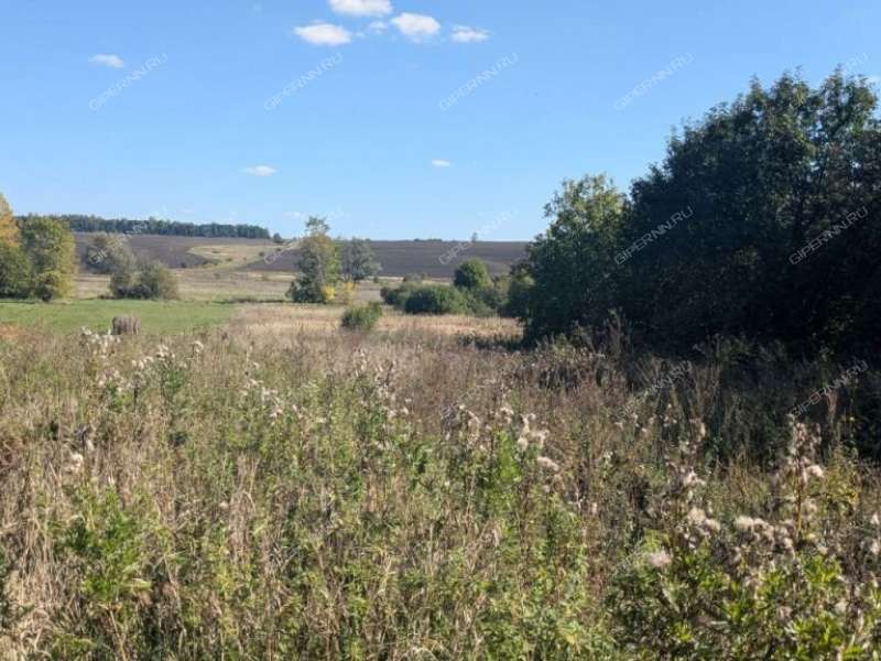 дом на Комсомольской улице село Большое Казариново