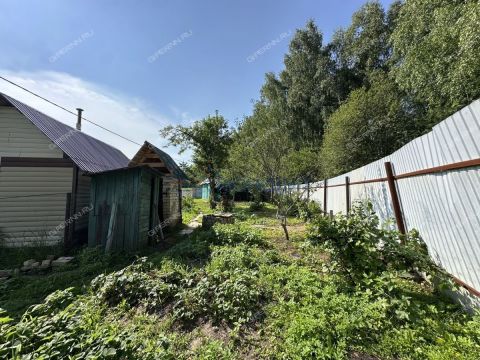 dacha фото