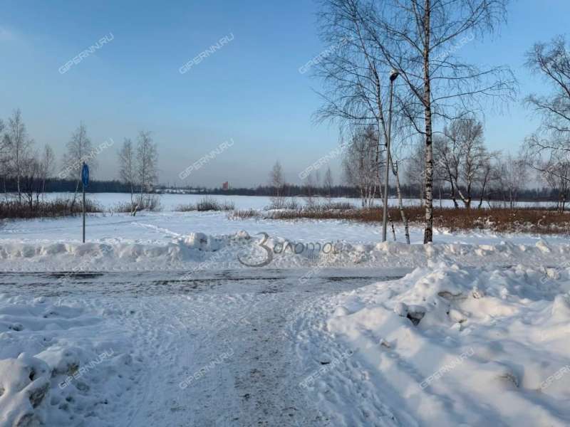 трёхкомнатная квартира на улице Пермякова дом 4а