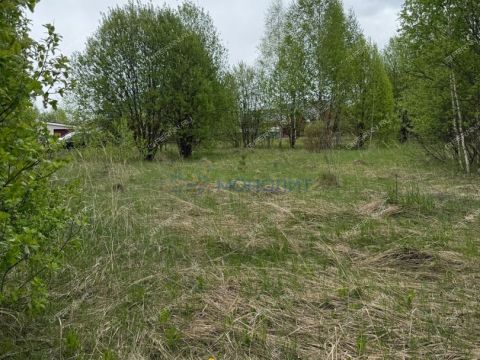 selo-diveevo-diveevskiy-municipalnyy-okrug фото
