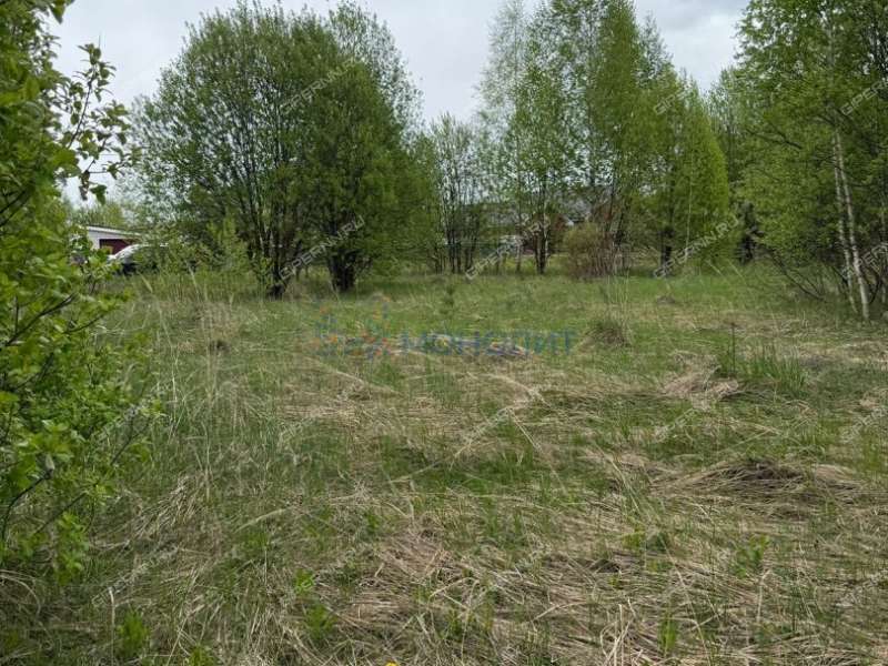 земельный участок 10,3 сотки Дружная улица село Дивеево