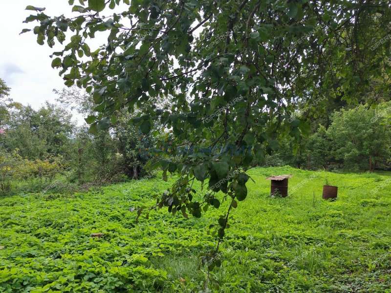 дом на Центральной улице село Курилово