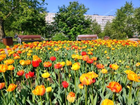 1-komnatnaya-ul-sergeya-akimova-d-34 фото