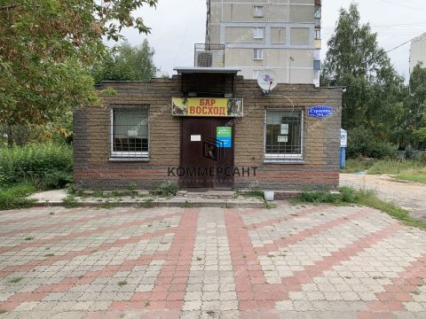 ul-strokina-d-19a фото