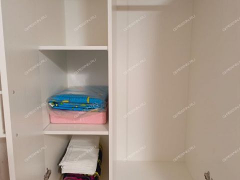 2-komnatnaya-gorod-vyksa-gorodskoy-okrug-vyksa фото