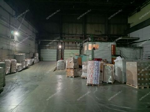 zayceva-ul-d-31 фото