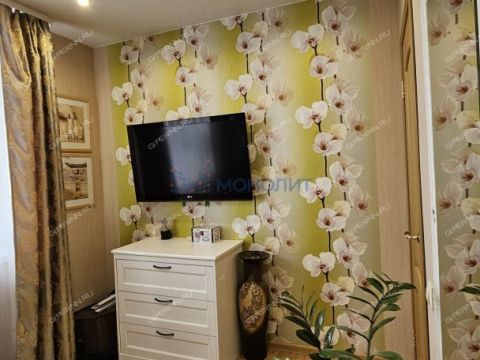 novinskiy-selsovet фото