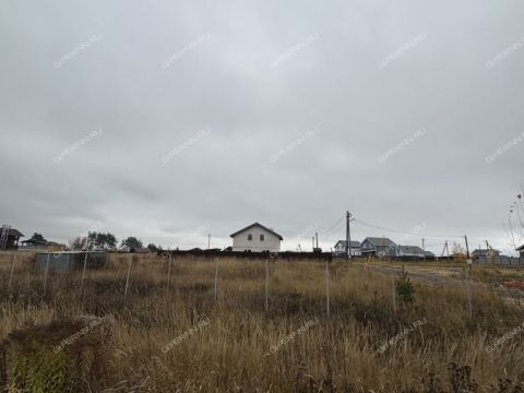 selo-efimevo-bogorodskiy-municipalnyy-okrug фото