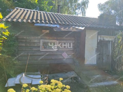 dacha-gorod-balahna-balahninskiy-municipalnyy-okrug фото