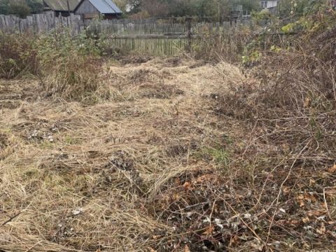 dom-selo-borkovka-gorodskoy-okrug-vyksa фото