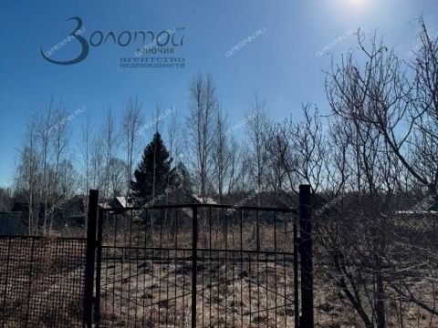 dom-derevnya-tugarino-gorodskoy-okrug-bor фото