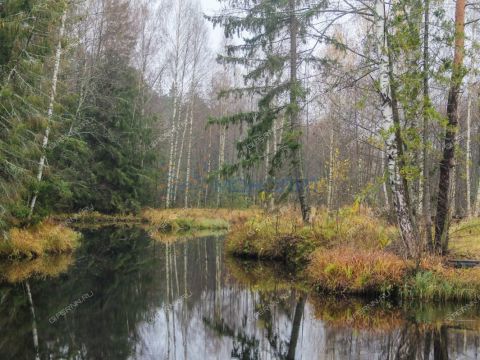 dom-berezniki-2-derevnya-berezniki-ter-gorodeckiy-rayon фото