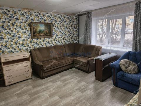 1-komnatnaya-gorod-bor-gorodskoy-okrug-bor фото