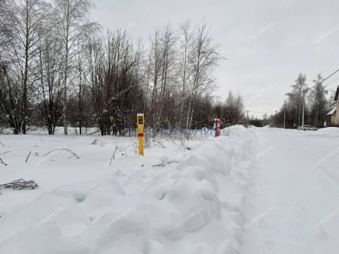 selo-diveevo-diveevskiy-municipalnyy-okrug фото