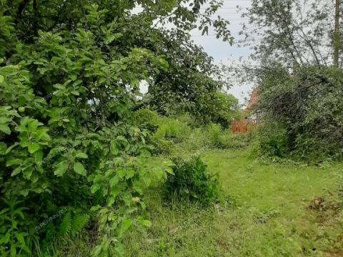 dacha-snt-n8-oao-gaz-gorodskoy-okrug-bor фото