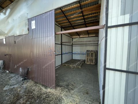 moskovskiy-rayon фото