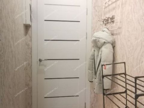 1-komnatnaya-ul-paskalya-d-3 фото