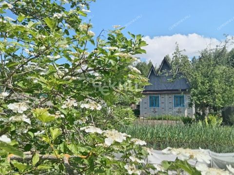 dacha-rabochiy-poselok-pervomayskiy-gorodeckiy-rayon фото