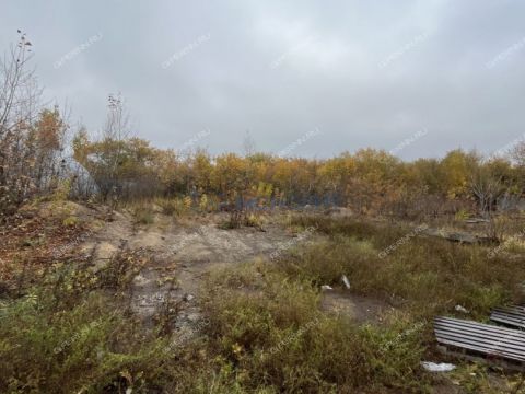 ul-torfyanaya-d-34-k1 фото