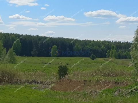 derevnya-aleksandrovka-dalnekonstantinovskiy-rayon фото