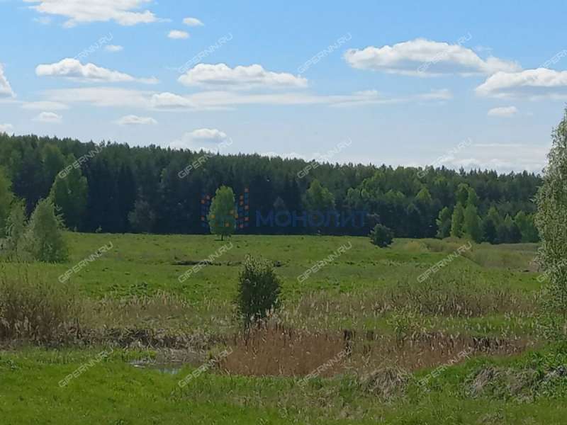 земельный участок 114 соток Лесная улица деревня Александровка