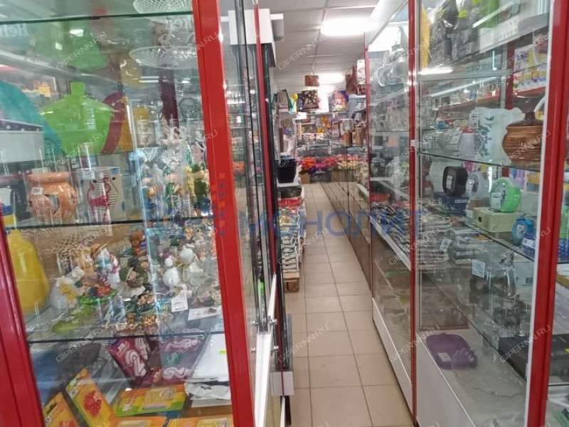 помещение под торговую площадь, недвижимость под общепит на улице Аллея Ильича город Павлово