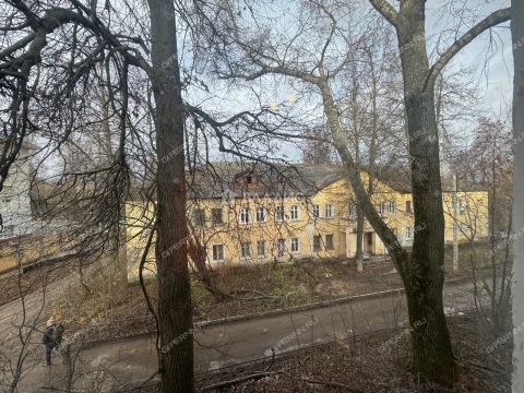 ul-shorina-d-10 фото