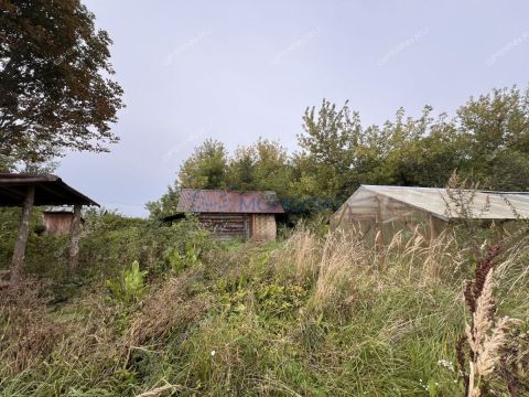 dom-derevnya-prudy-pavlovskiy-municipalnyy-okrug фото
